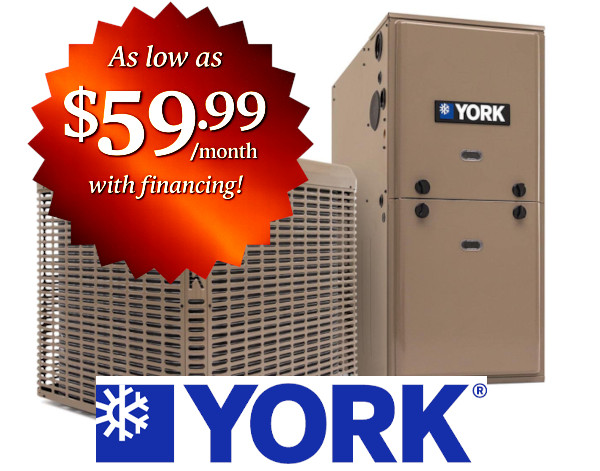 opachs-york-4